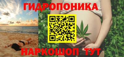 прущие грибы Пыть-Ях